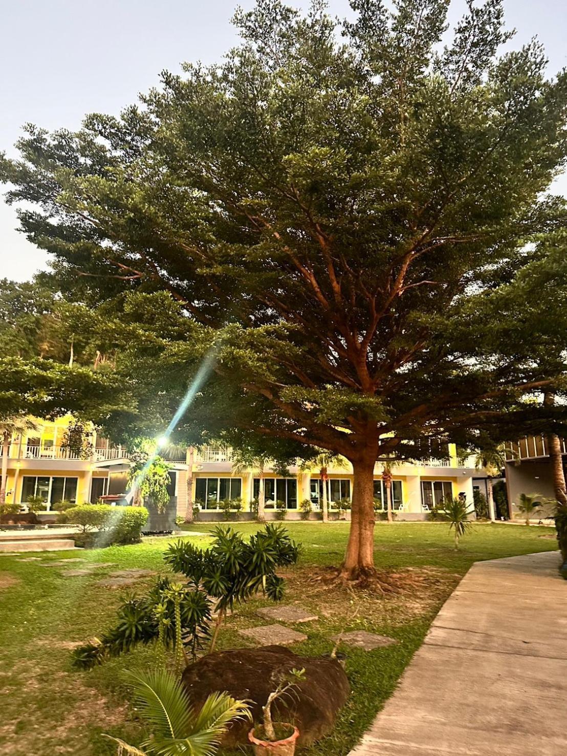 Gypsy Sea View Resort Ko Phi Phi Zewnętrze zdjęcie